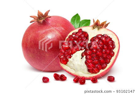 Pomegranate pomegranate illustration real set 93102147