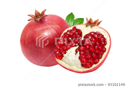 Pomegranate pomegranate illustration real set 93102149
