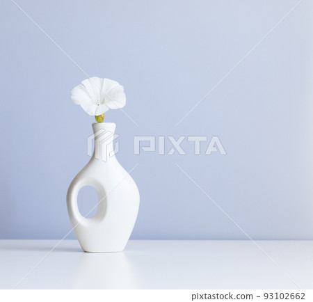 white vase and white flower on abstract light blue background white vase and white flower on abstract light blue background 93102662