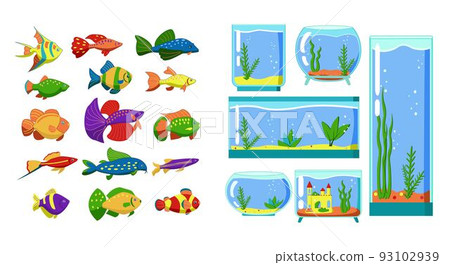 Aquarium fish and Glass Aquarium collection isolated on white background. Cute cartoon vector illustration set. Aquarium fish and Glass Aquarium collection isolated on white background. Cute cartoon vector illustration set. 93102939