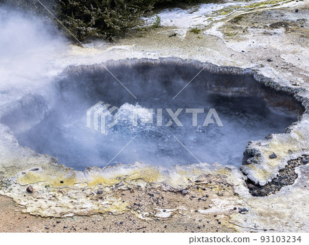 Te Puia, New Zealand Boiling Hot Water Pond / Te Puia, Rotorua 93103234
