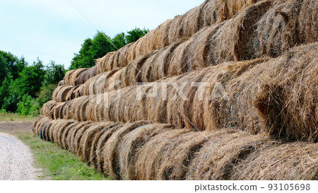 Hay in a bale in a sunny day. Food product for farm animals, farming concept 93105698