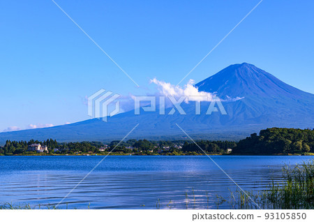 (Yamanashi Prefecture) Summer Sky and Mt.Fuji / Kawaguchiko Oishi Park (Yamanashi Prefecture) Summer Sky and Mt.Fuji / Kawaguchiko Oishi Park 93105850