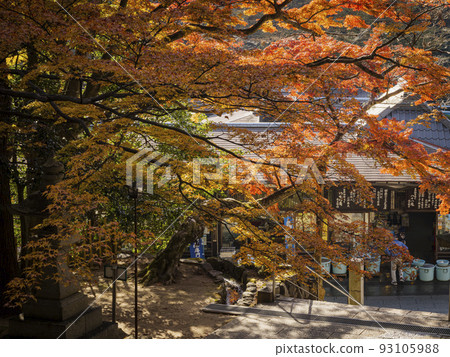 有秋葉的大久保寺 有秋葉的大久保寺 93105988