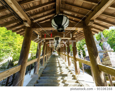 Corridor and wind chimes at Hase-dera, the head temple of summer 93106168