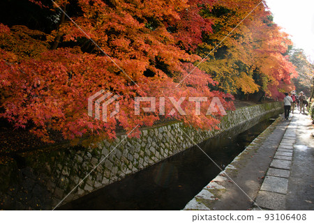 Path of Philosophy_8591 93106408