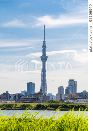 從四木的荒川河床看到的“東京”東京晴空塔 93106949