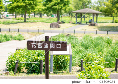 東京都葛飾區水本公園花菖蒲廣場 93106984