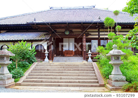 繡球花Amabiki觀音轄區 繡球花Amabiki觀音轄區 93107299