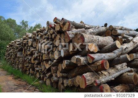 Cut out log hardwood Cut out log hardwood 93107329