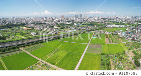 Aerial view "Saitama Prefecture" Saitama City Minuma rice field and summer sky 93107585