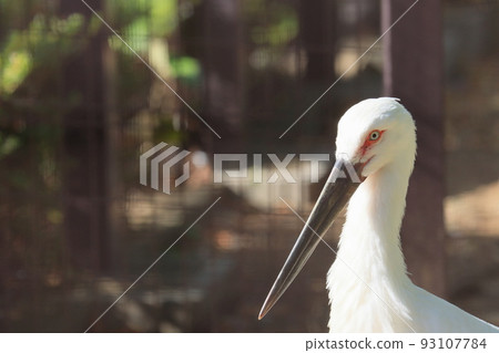 Stork 93107784