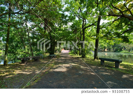 Shinbashira Park R4 Natsu Shinbashira Park R4 Natsu 93108755