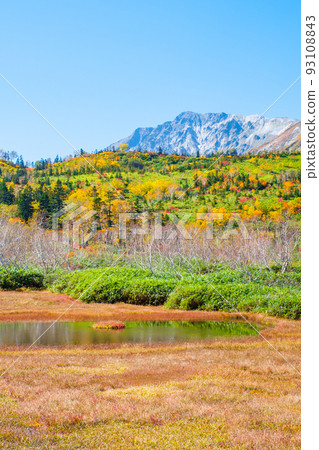 Tsugaike Nature Garden (Autumn) 93108843