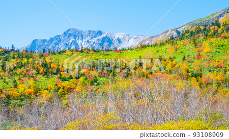 Tsugaike Nature Garden (Autumn) 93108909