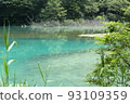 五個ginsenuma在夏天 93109359