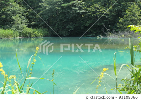 五個ginsenuma在夏天 五個ginsenuma在夏天 93109360
