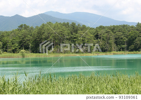五個ginsenuma在夏天 五個ginsenuma在夏天 93109361