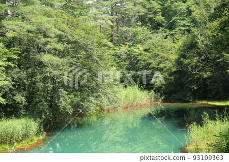 五個ginsenuma在夏天 五個ginsenuma在夏天 93109363