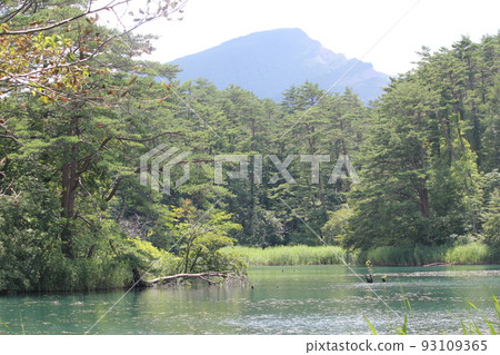 五個ginsenuma在夏天 五個ginsenuma在夏天 93109365