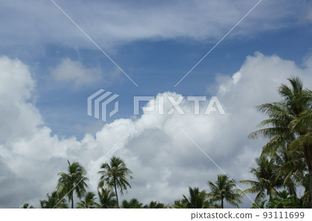Landscape of Guam Landscape of Guam 93111699