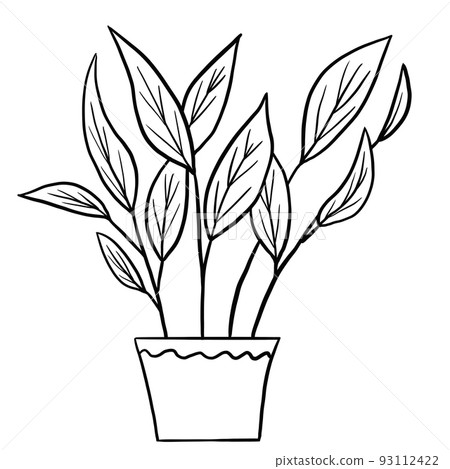 Calathea begonia in a pot in black line outline cartoon style. Coloring book houseplants flowers plant for interrior design in simple minimalist design, plant lady gift. 93112422