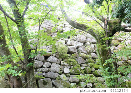 Hiroshima Castle 93112554