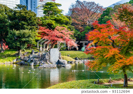 東京的紅葉小石川後樂園~愛泉水~ 東京的紅葉小石川後樂園~愛泉水~ 93112694
