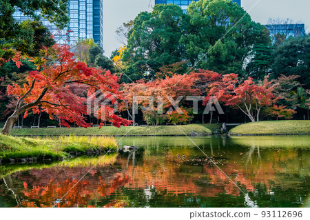 東京的紅葉小石川後樂園~愛泉水~ 東京的紅葉小石川後樂園~愛泉水~ 93112696
