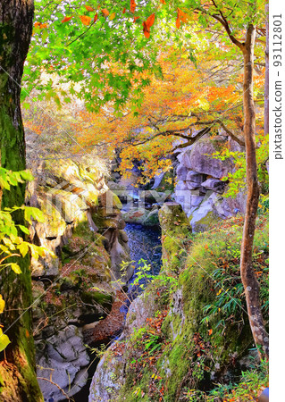 Rairaikyo Gorge in late autumn 93112801