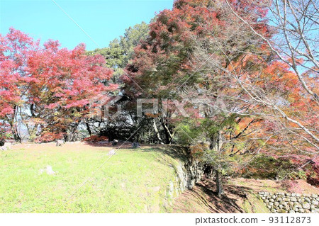 Tsuwano castle Tsuwano castle 93112873