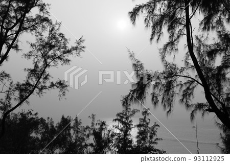 the Scenic View Of Sea Against Sky During Sunset the Scenic View Of Sea Against Sky During Sunset 93112925