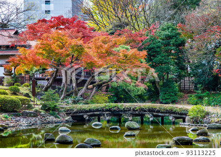 Koishikawa Korakuen garden in autumn colors in Tokyo ~Togetsukyo Bridge and Hantokutei~ Koishikawa Korakuen garden in autumn colors in Tokyo ~Togetsukyo Bridge and Hantokutei~ 93113225