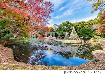 Tokyo's Koishikawa Korakuen Garden with Autumn Leaves ~Inner Garden~ Tokyo's Koishikawa Korakuen Garden with Autumn Leaves ~Inner Garden~ 93113230
