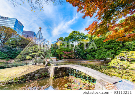 Tokyo's Koishikawa Korakuen Garden with Autumn Leaves ~Inner Garden~ 93113231