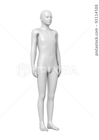 男性身體，身體，3D 93114588