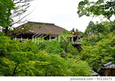 京都 - 京都的ji寺廟 93116271