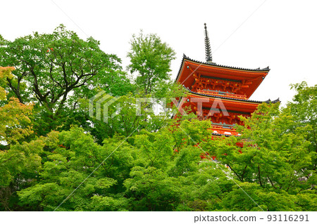 Kyoto - ji temple in Kyoto 93116291