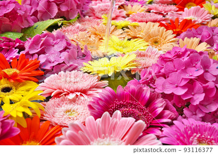 [Flower water] Gerbera, hydrangea 93116377