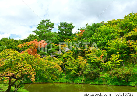 Kyoto · Kodaiji 93116725