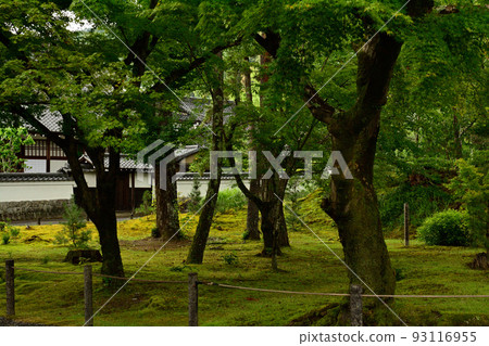 Kyoto · Nanzenji 93116955