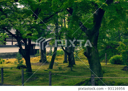 Kyoto · Nanzenji Kyoto · Nanzenji 93116956