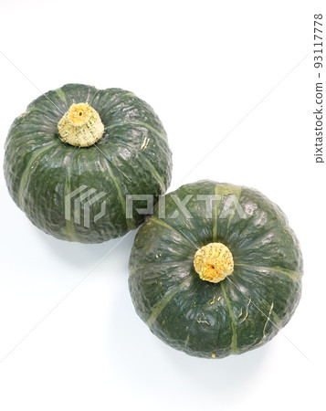 Pumpkin Pumpkin Pumpkin Pumpkin Pumpkin Pumpkin Pumpkin Pumpkin 93117778