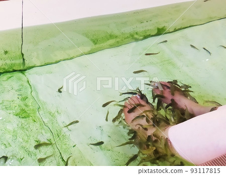 Doctor fish experience 93117815