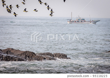 綠鴿成群飛來喝海水(神奈川縣大磯町照崎海灘) 綠鴿成群飛來喝海水(神奈川縣大磯町照崎海灘) 93118223