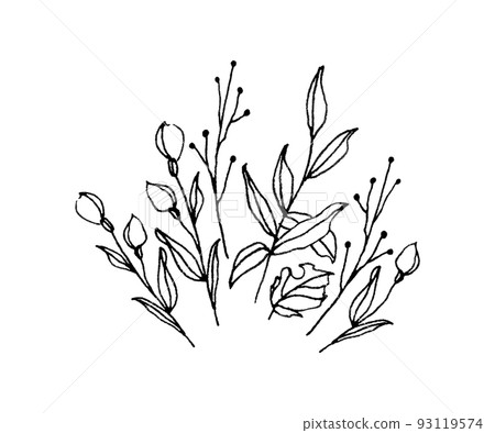flower illustration 93119574