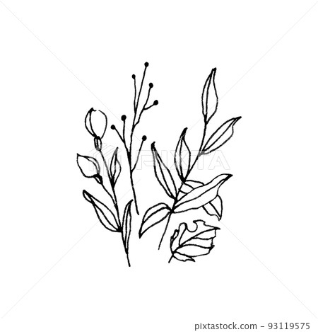 flower illustration 93119575