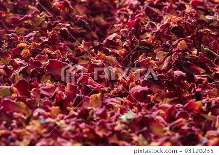 Natural aromatic rose petals background. 93120235
