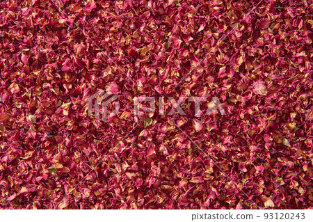 Pink dried rose petals background. 93120243