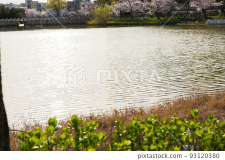 Bandaiike Park in spring Bandaiike Park in spring 93120380